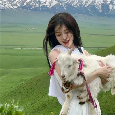 科学怪人大战狼人